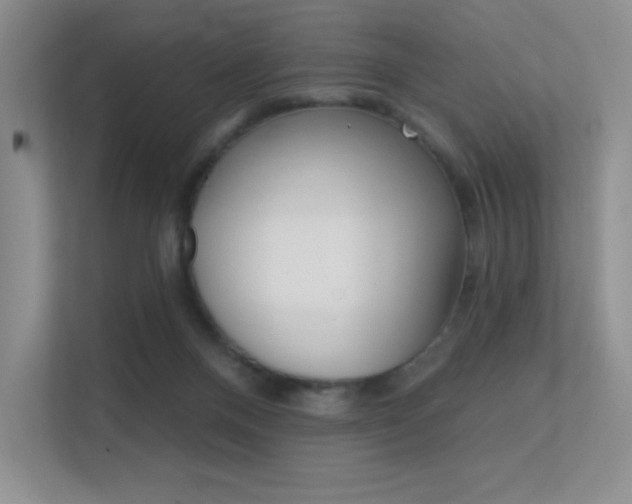 X0000112350120200908131022