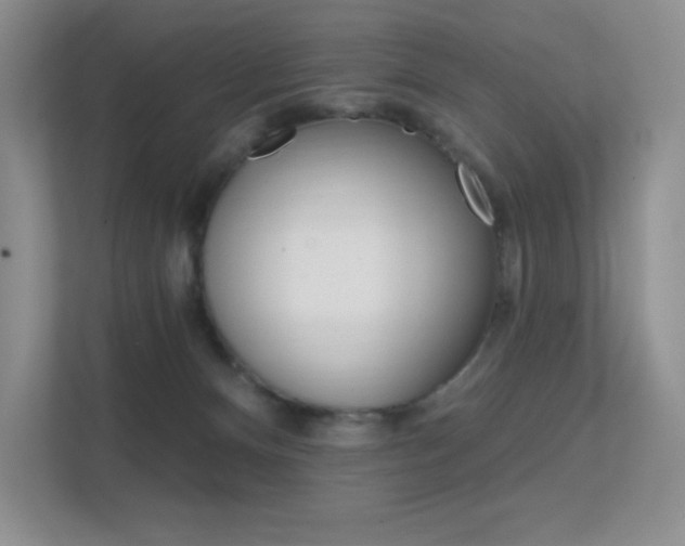 X0000112350128200908131022