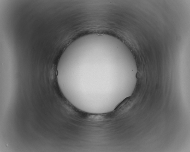 X0000112350133200908131022