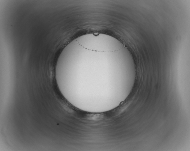 X0000112350135200908131022