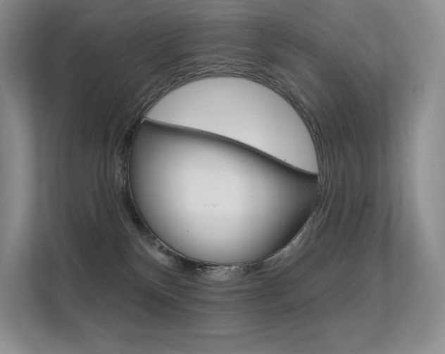 X0000112350136200908131022