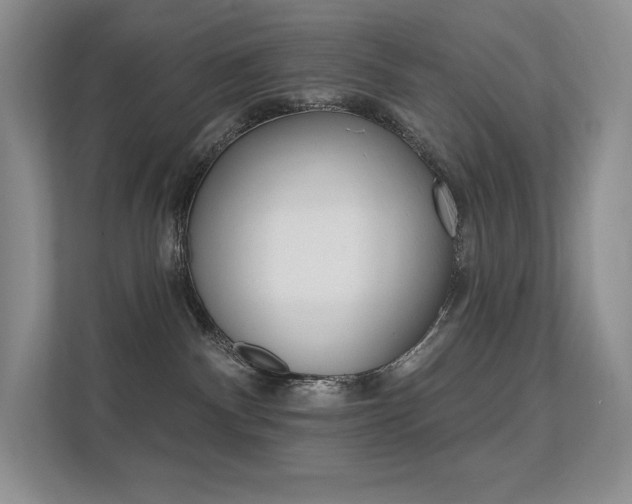X0000112350140200908131022