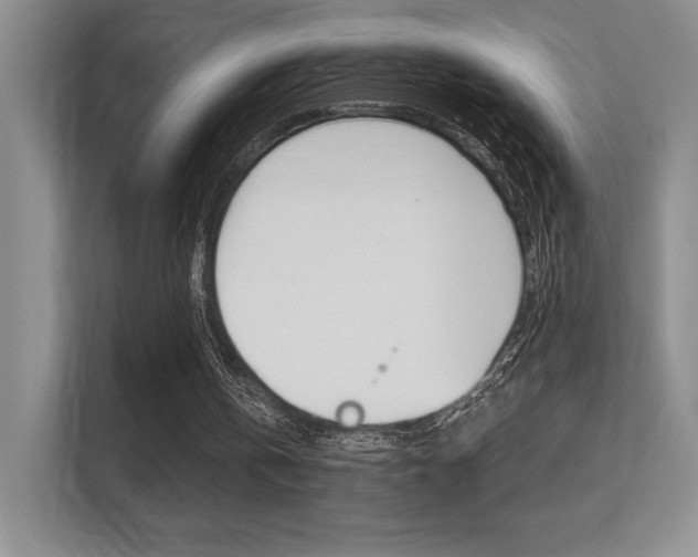 X0000112350146200908131021