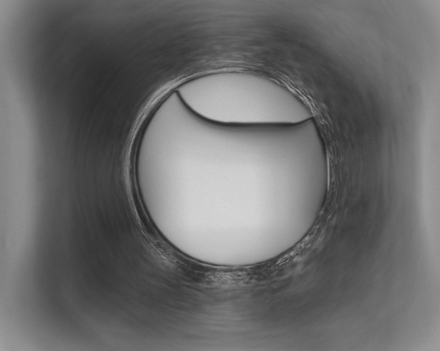 X0000112350147200908131021