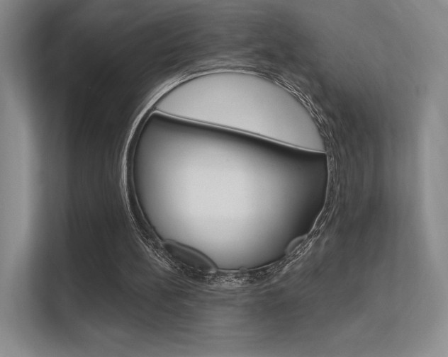 X0000112350148200908131021