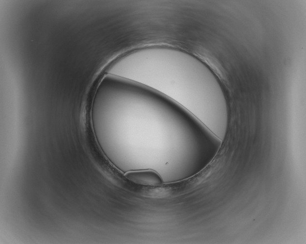 X0000112350156200908131021
