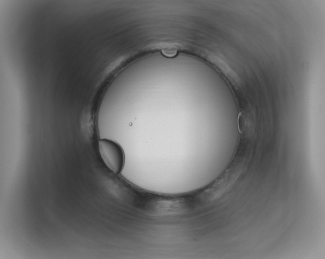 X0000112350160200908131021