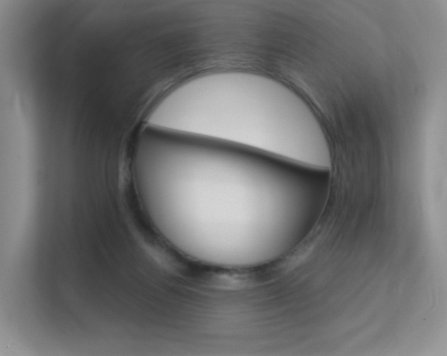 X0000112350164200908131021