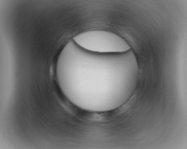 X0000112350166200908131021