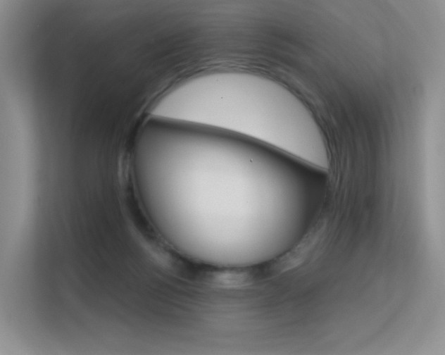 X0000112350168200908131021