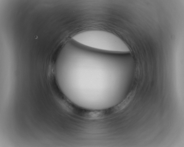 X0000112350172200908131021