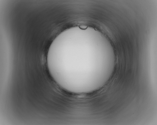 X0000112350173200908131021