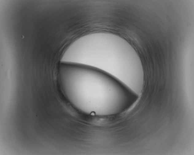 X0000112350174200908131021