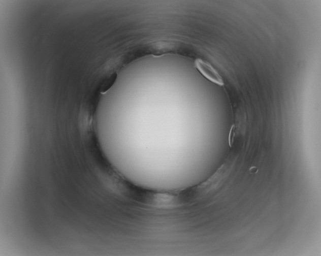 X0000112350176200908131021