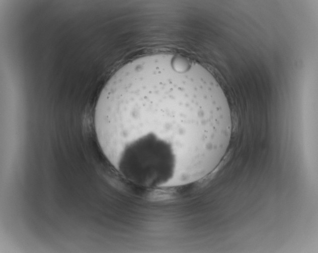 X0000112350179200908131021