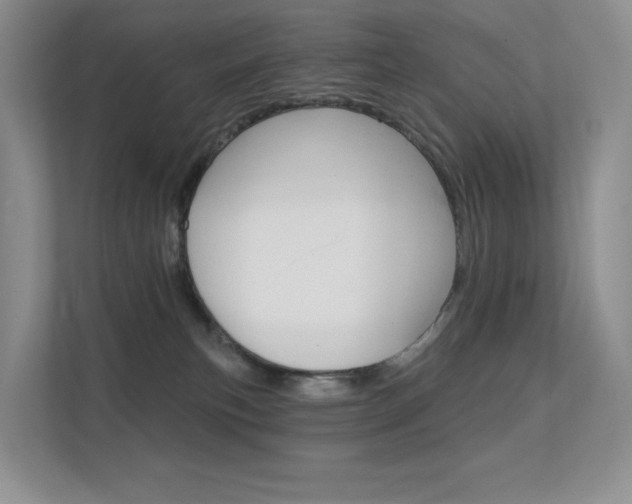 X0000112350183200908131021