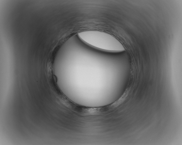 X0000112350184200908131021
