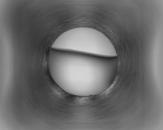 X0000112350186200908131021