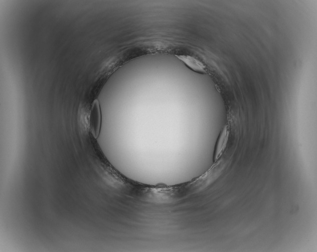 X0000112350188200908131021