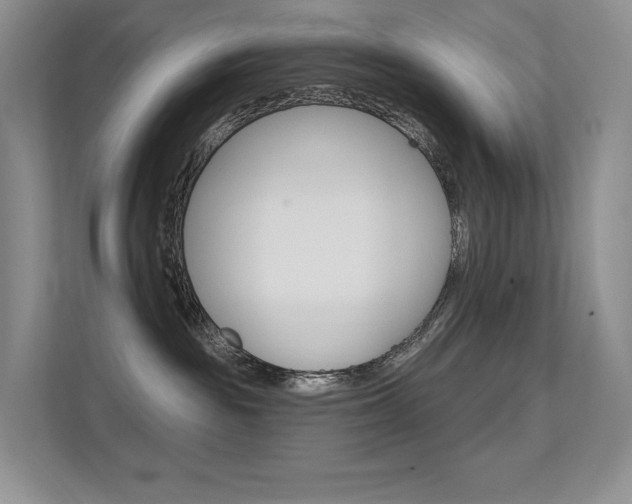 X0000112350189200908131021