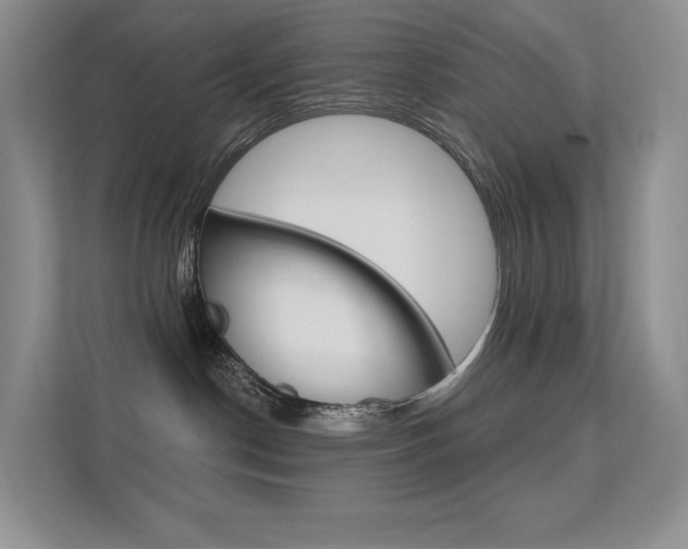 X0000112350190200908131021