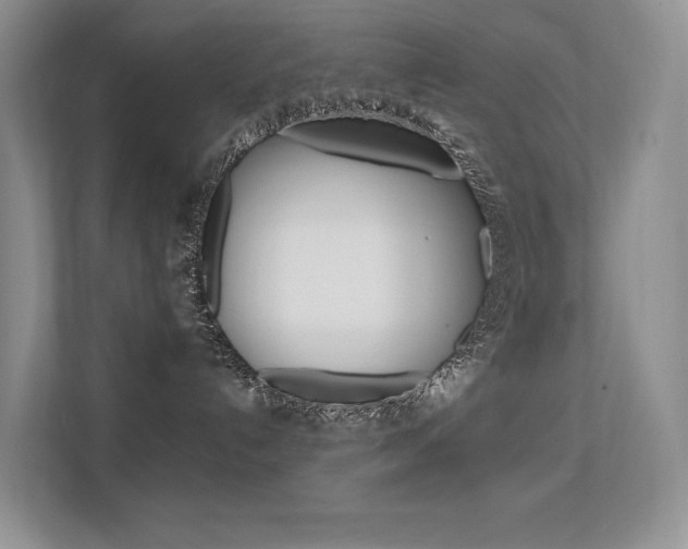 X0000112350192200908131021