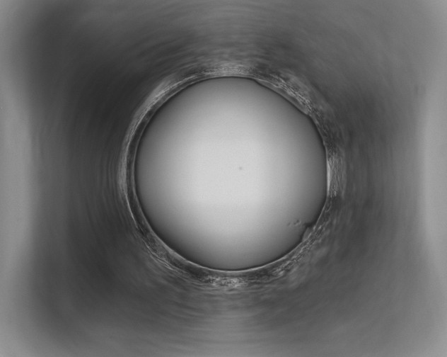 X0000112350195200908131021