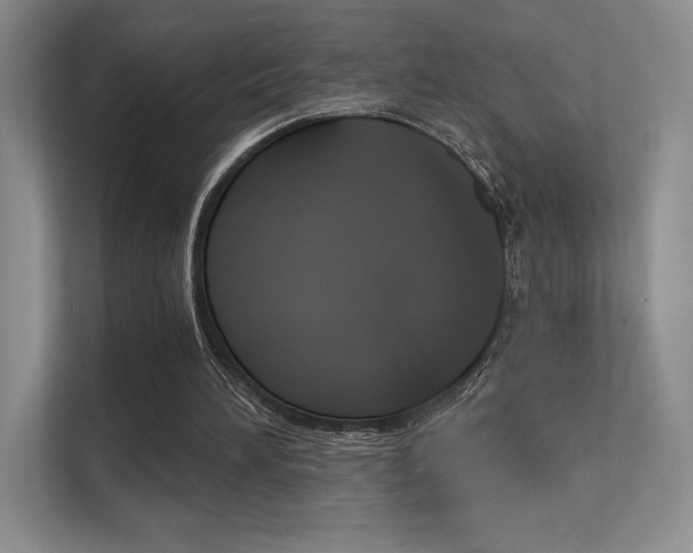 X0000112350196200908131021