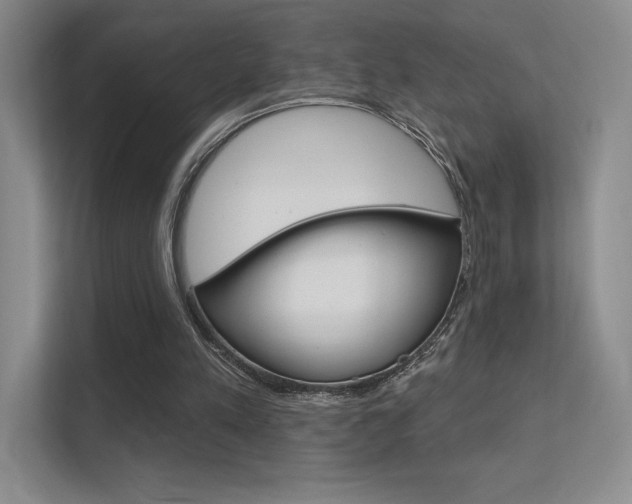 X0000112350197200908131021
