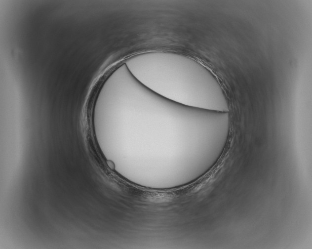 X0000112350198200908131021