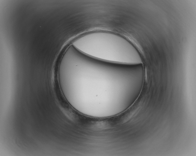 X0000112350204200908131021