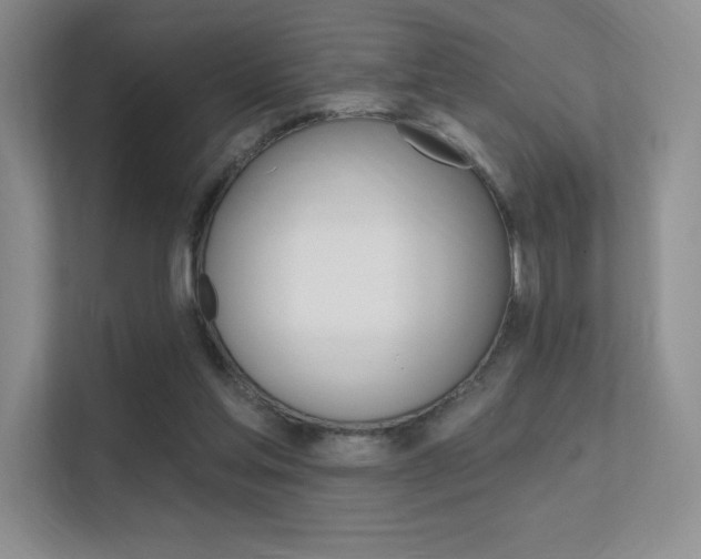 X0000112350205200908131021