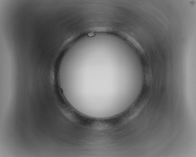 X0000112350207200908131021