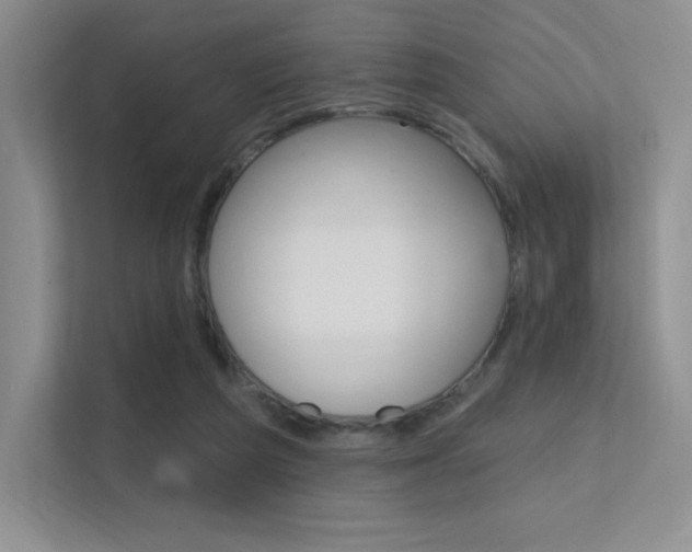 X0000112350209200908131021
