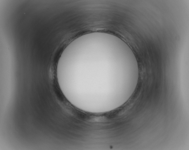 X0000112350210200908131021