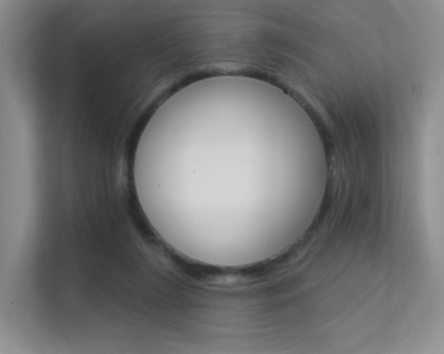 X0000112350212200908131021