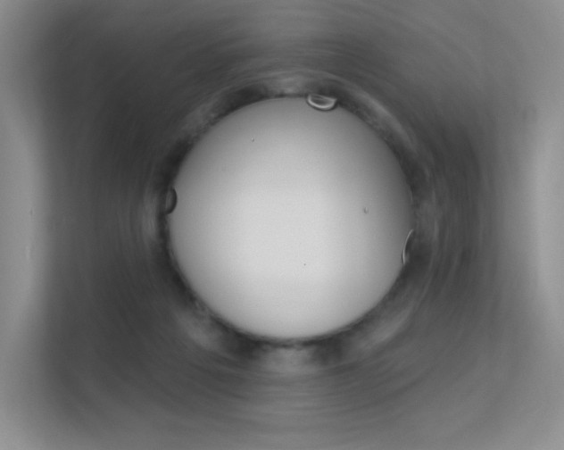 X0000112350217200908131021