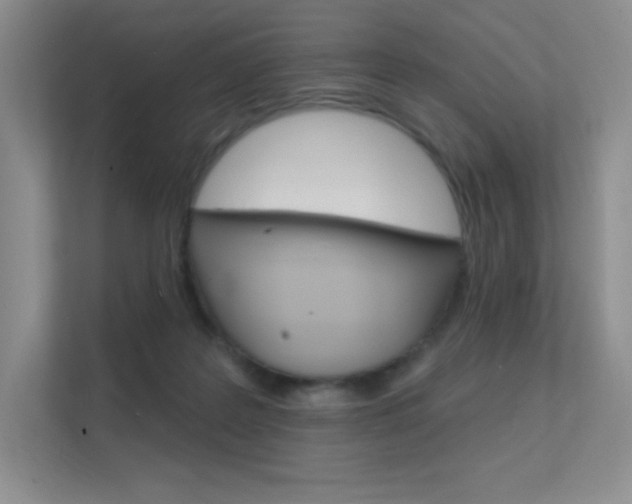 X0000112350219200908131020