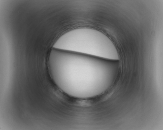 X0000112350221200908131020