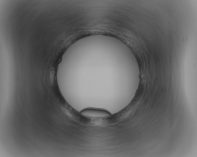 X0000112350231200908131020
