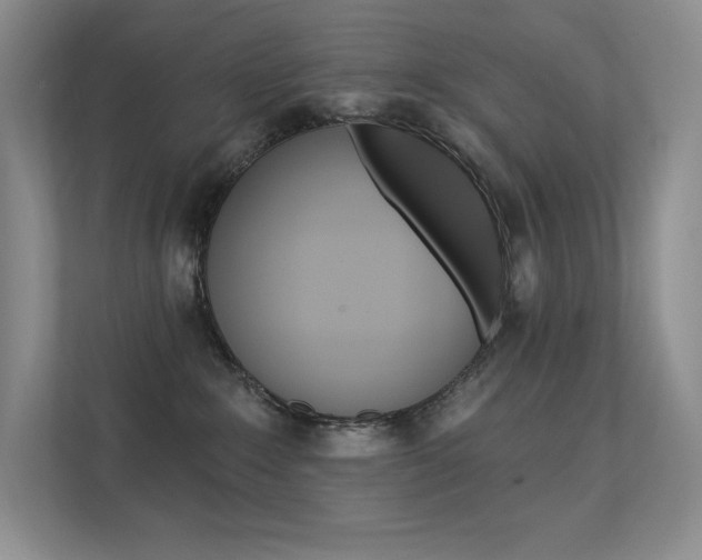 X0000112350235200908131020
