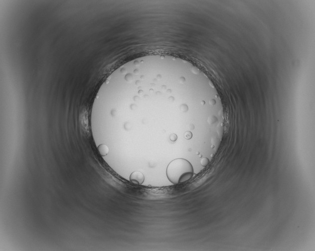 X0000112350238200908131020
