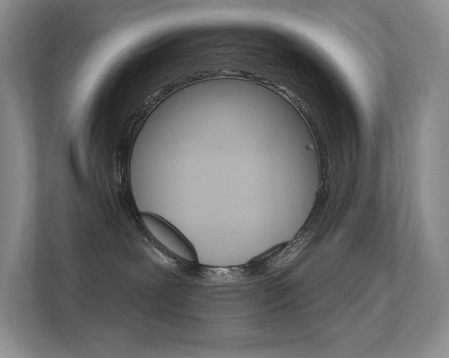 X0000112350239200908131020