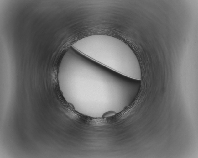 X0000112350240200908131020