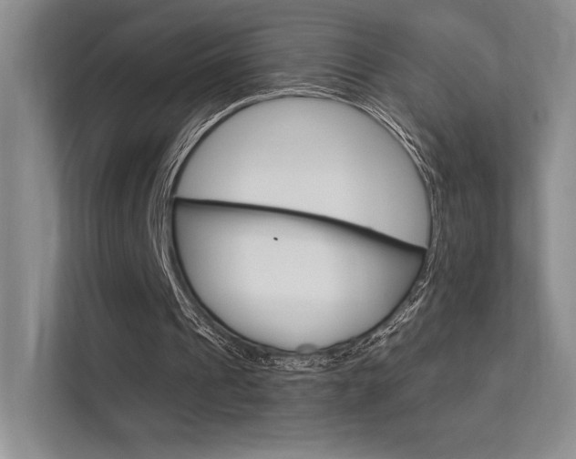 X0000112350241200908131020