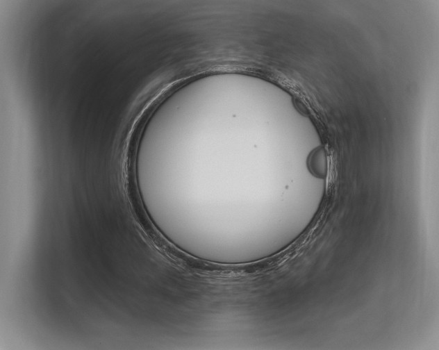 X0000112350243200908131020