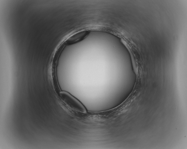 X0000112350244200908131020