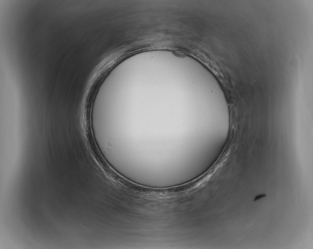 X0000112350245200908131020