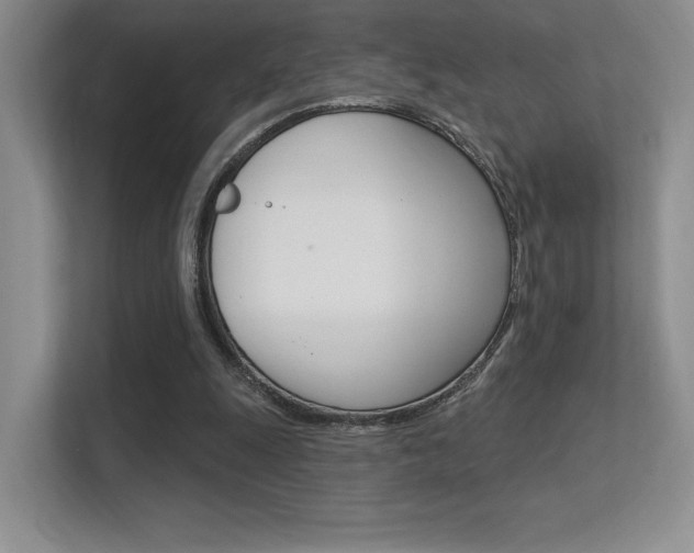 X0000112350247200908131020