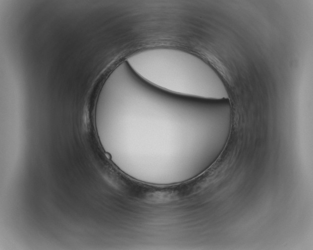 X0000112350251200908131020